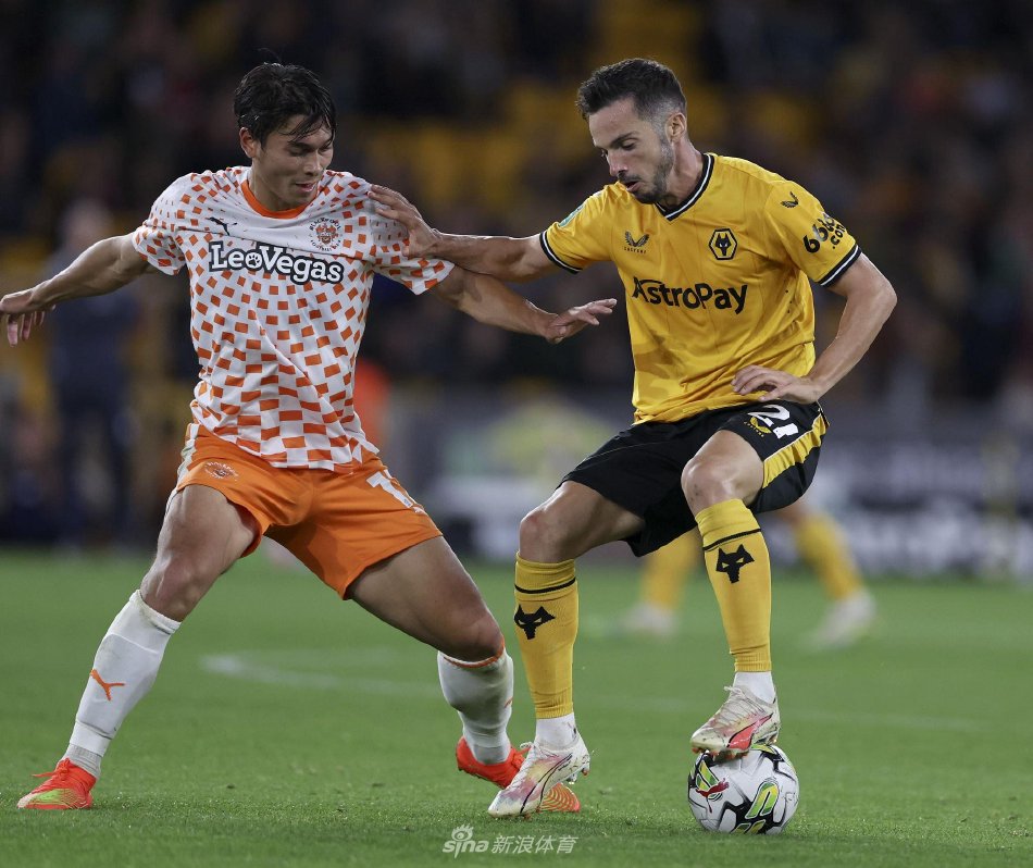 球迷与媒体 球迷与媒体